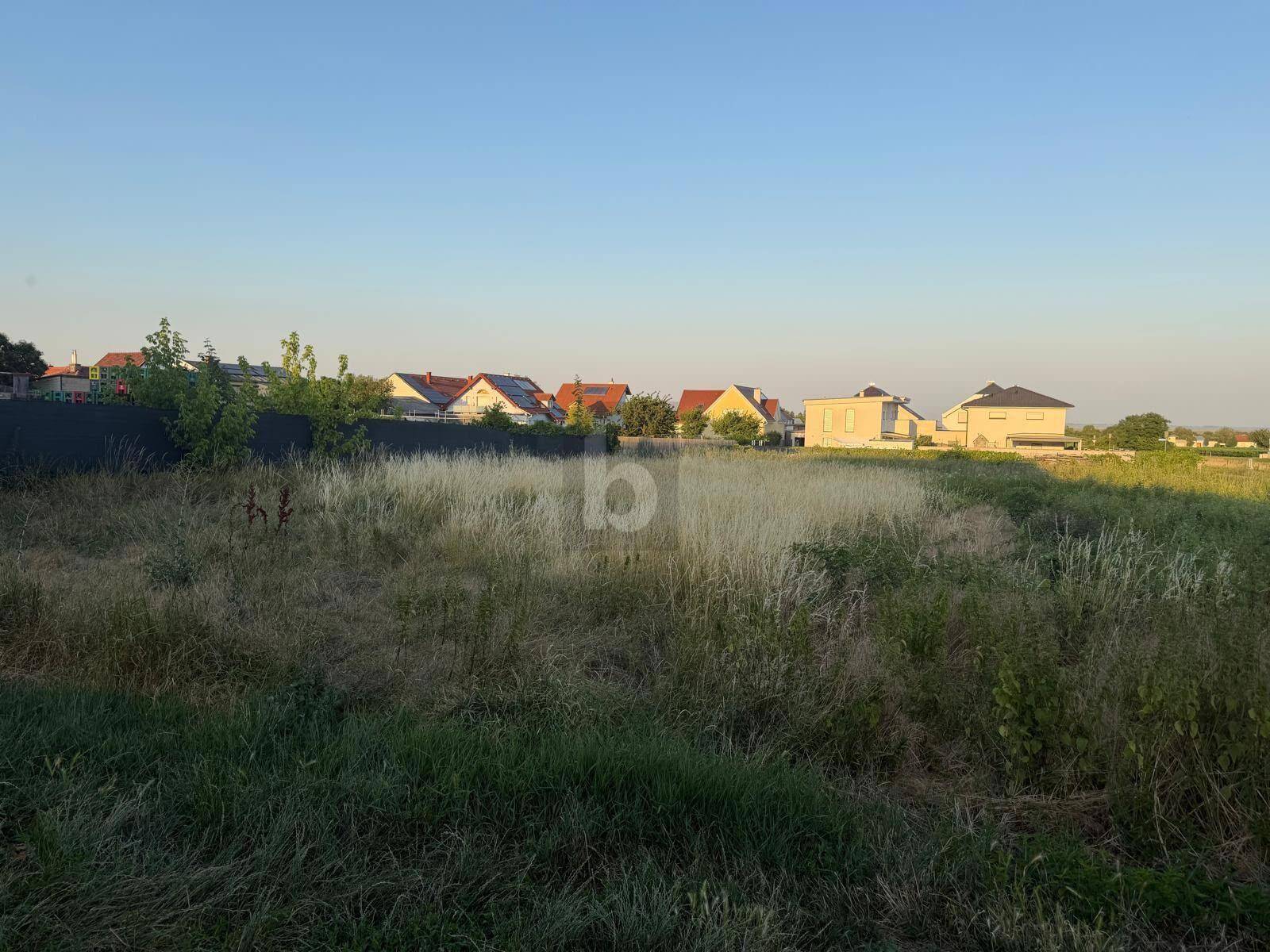 Offenes Feld mit unberührter Natur und Häusern in der Ferne unter blauem Himmel.