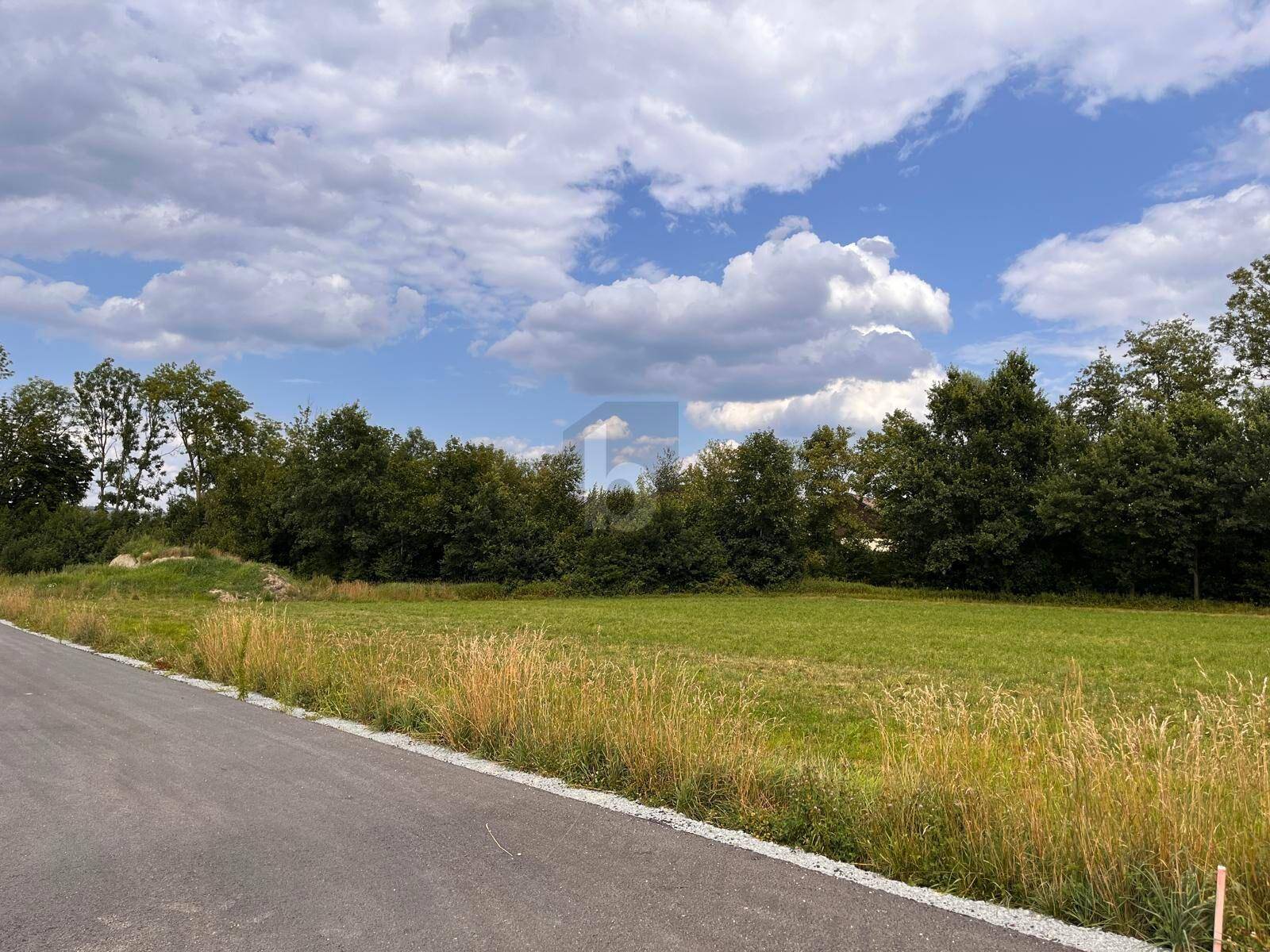 Offenes Feld mit üppigem Grün und einer Reihe von Bäumen am Horizont unter blauem Himmel.