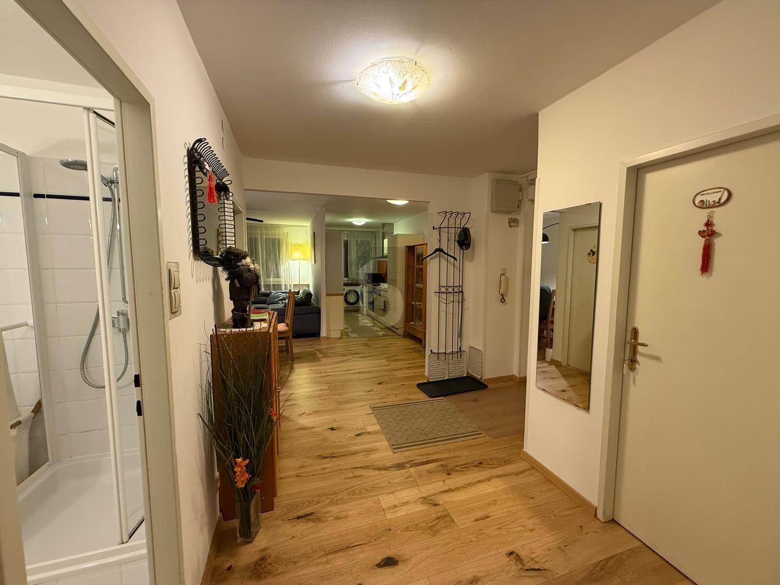 Heller Flur mit Holzboden, einem Spiegel und Blick in den Wohnbereich sowie eine Duschkabine.