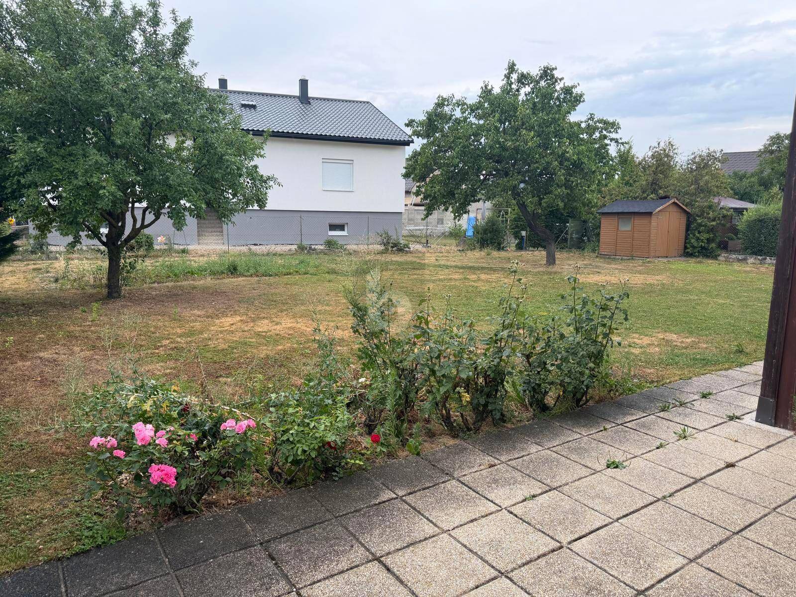 Großer Garten mit Rasenfläche, Bäumen und einem kleinen Geräteschuppen im Hintergrund.