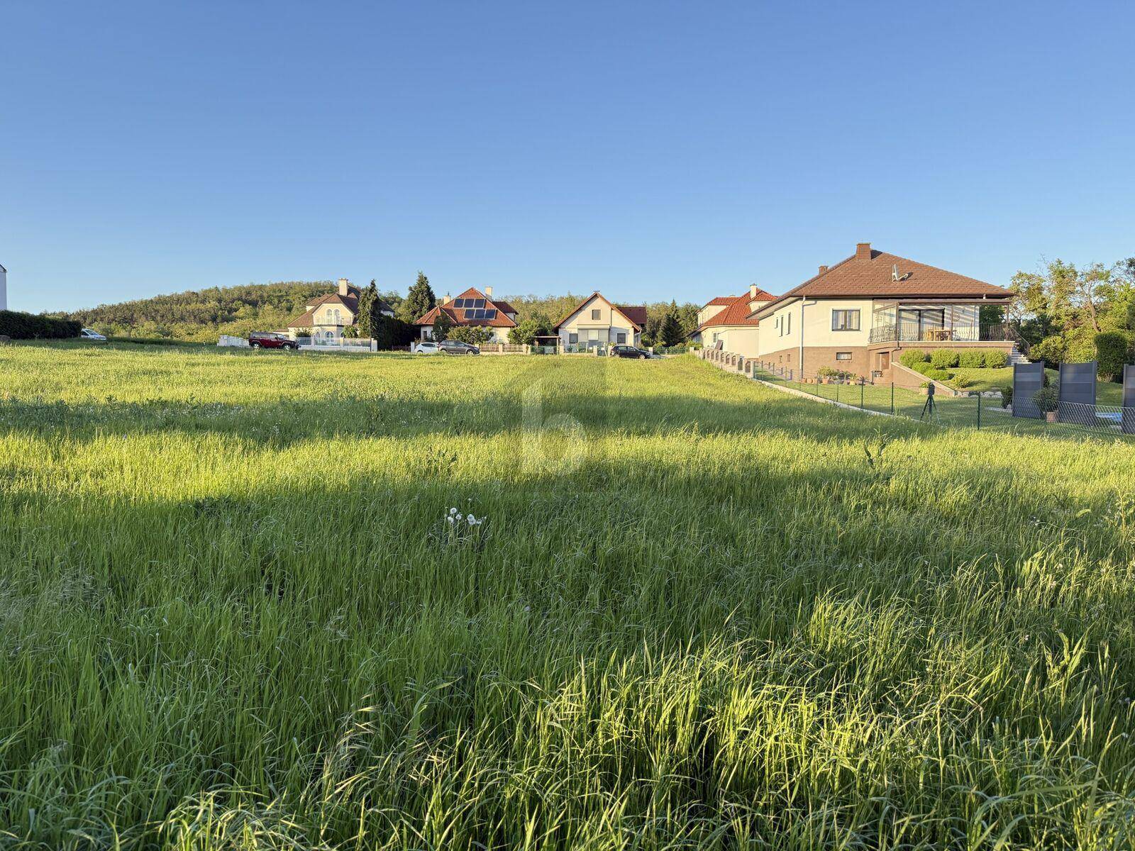 Sonnige grüne Wiese mit modernen Häusern am Horizont unter klarem blauen Himmel.