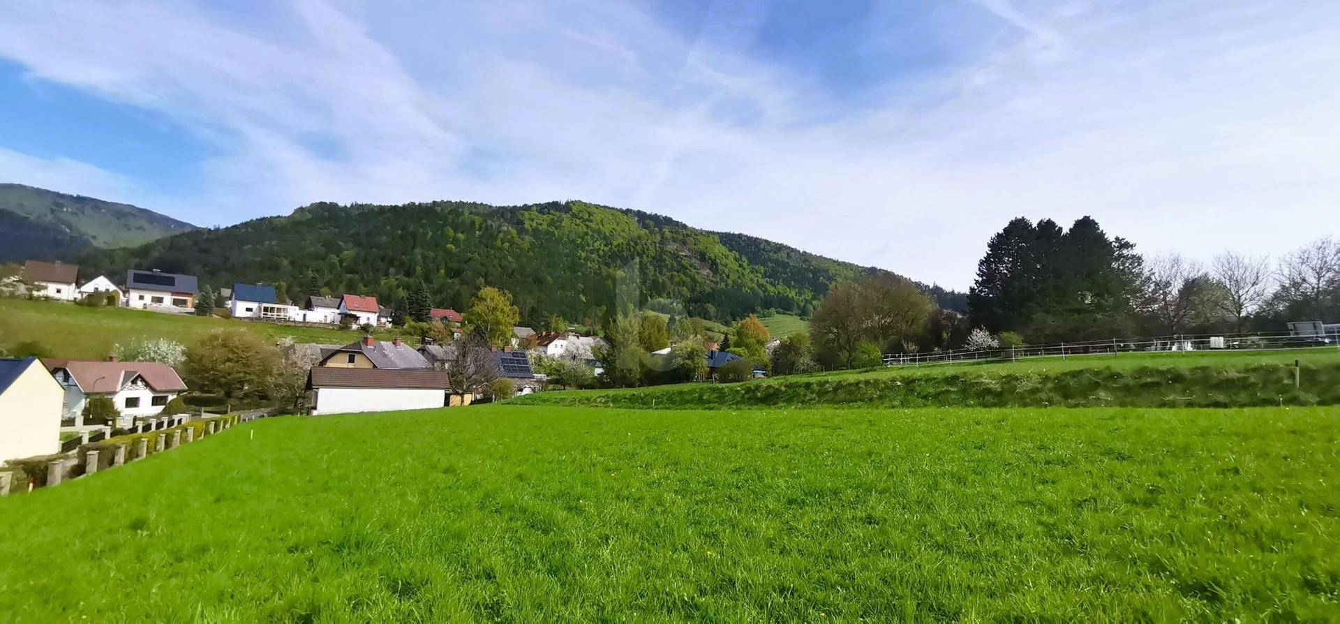 Idyllische ländliche Szene mit saftig grünen Feldern, einer Häuserreihe und sanften Hügeln unter klarem Himmel.