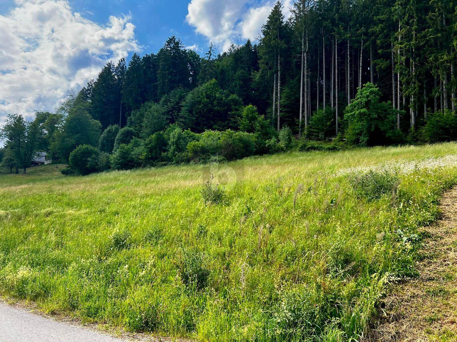 SUPER LAGE MIT IDEALEN MÖGLICHKEITEN! - Ansicht 2