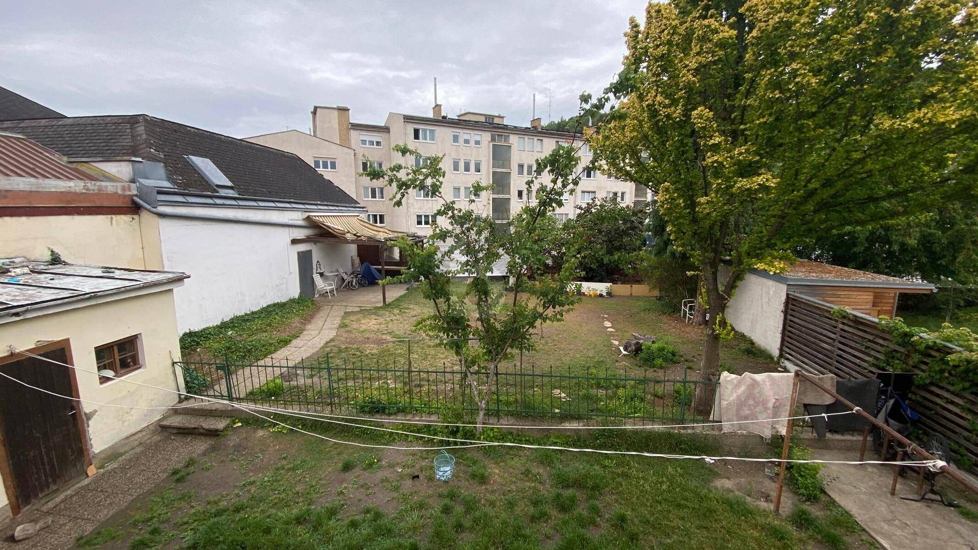Großer, naturbelassener Gartenbereich mit Rasenfläche und Bäumen hinter dem Gebäude.
