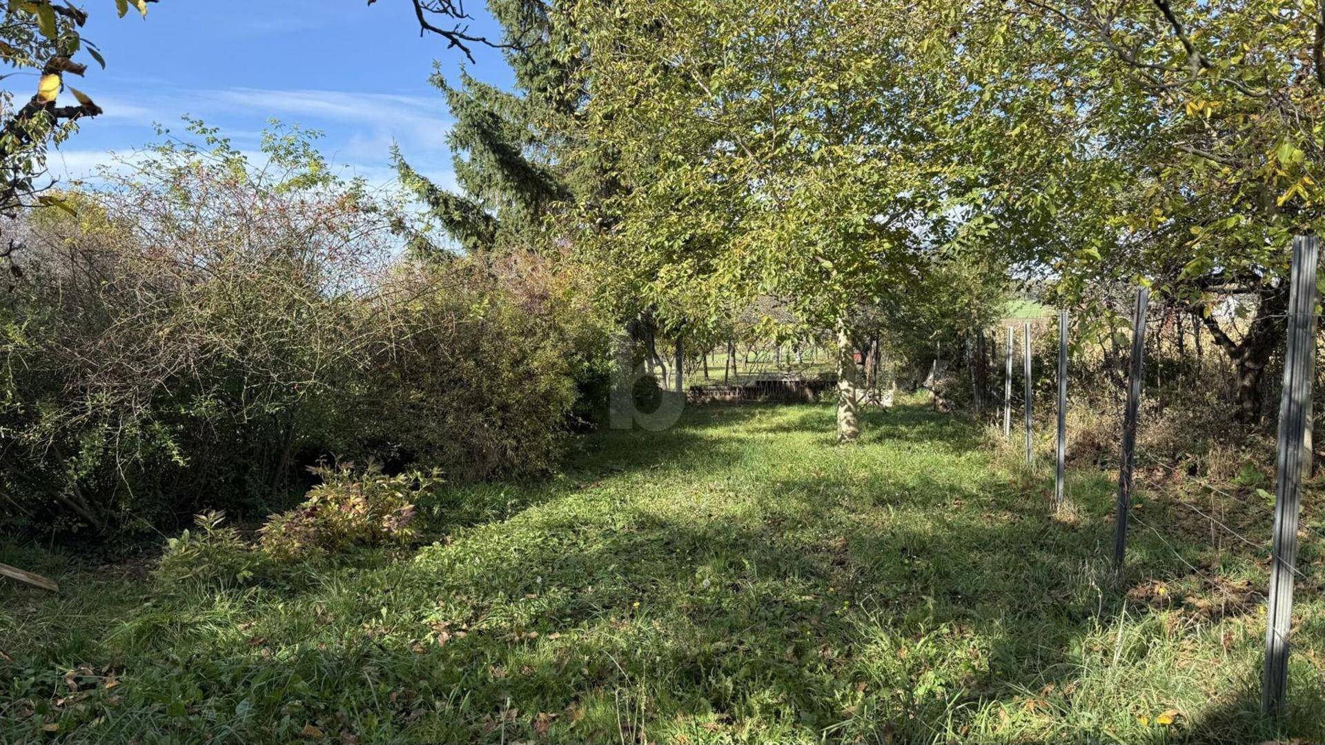 Naturbelassener Gartenbereich mit altem Baumbestand, Wiese und Sträuchern unter blauem Himmel.