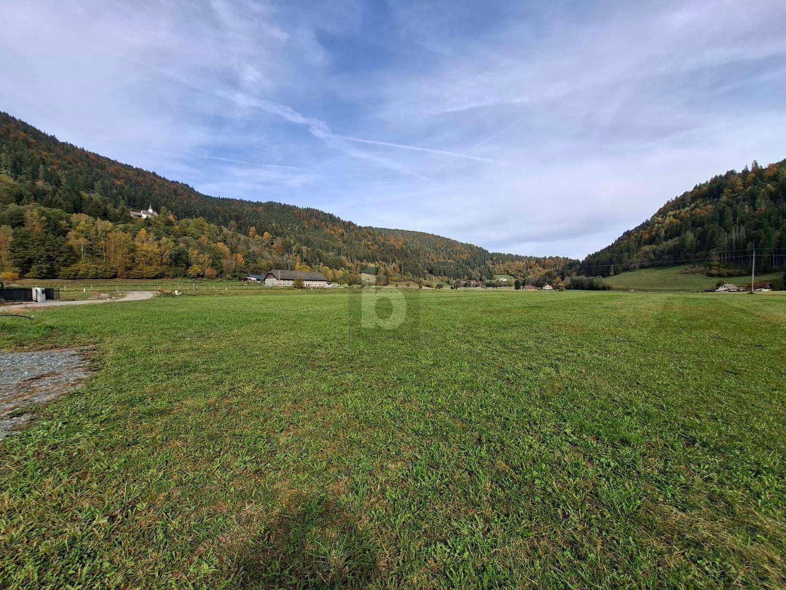 Offenes Feld mit Blick auf bewaldete Berge und einige Gebäude in der Ferne unter blauem Himmel.