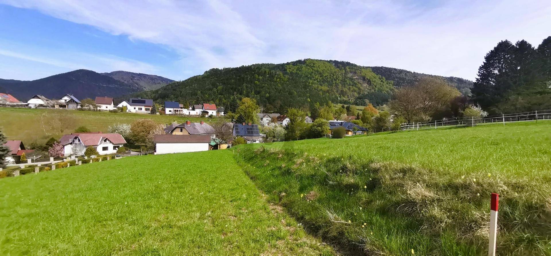 Weitläufige grüne Landschaft mit verstreuten Häusern und bewaldeten Bergen im Hintergrund an einem sonnigen Tag.
