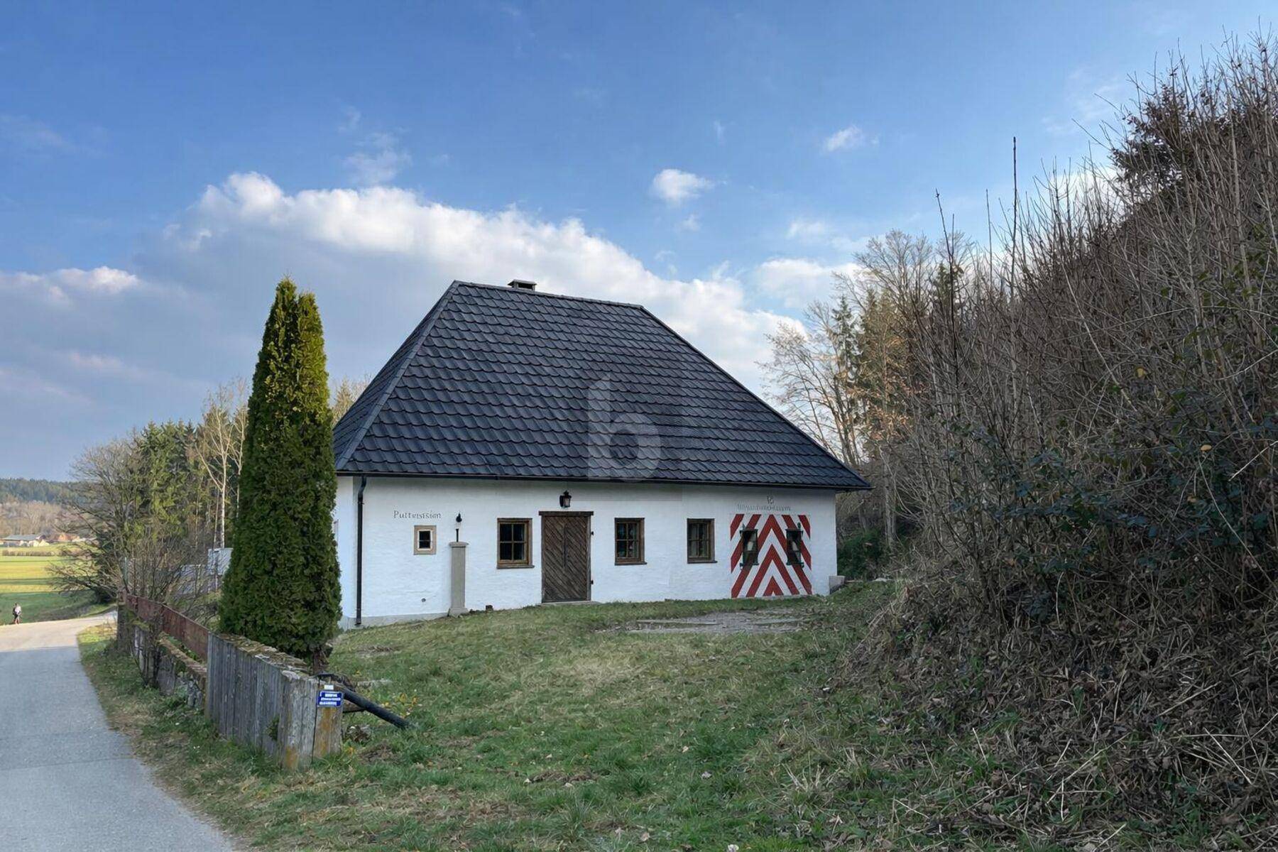 Vorderansicht des weißen Hauses mit dunklem Dach und einem Nadelbaum daneben.