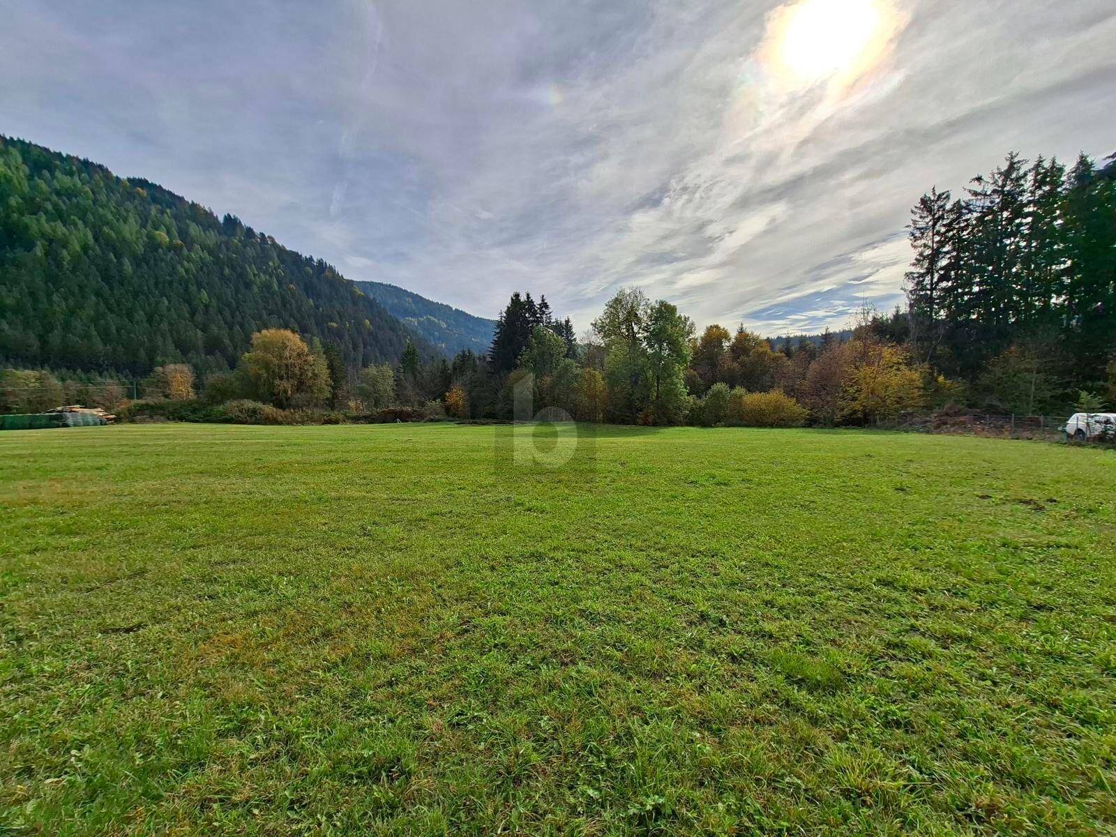 Große Wiese mit Bäumen und bewaldeten Bergen im Hintergrund, die Sonne scheint durch die Wolken.