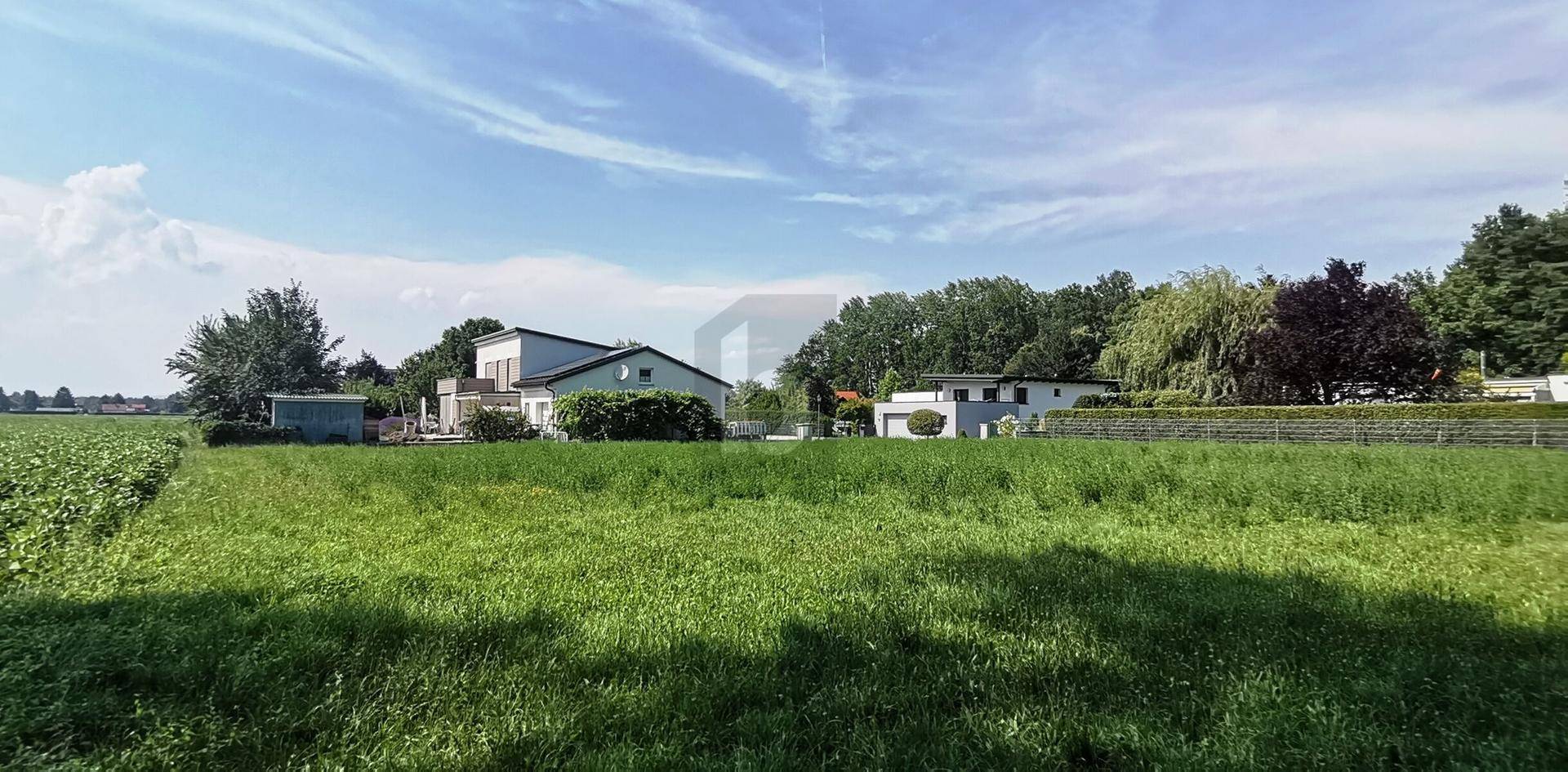 Weitläufiges grünes Feld mit modernen Wohnhäusern und Bäumen im Hintergrund unter blauem Himmel.