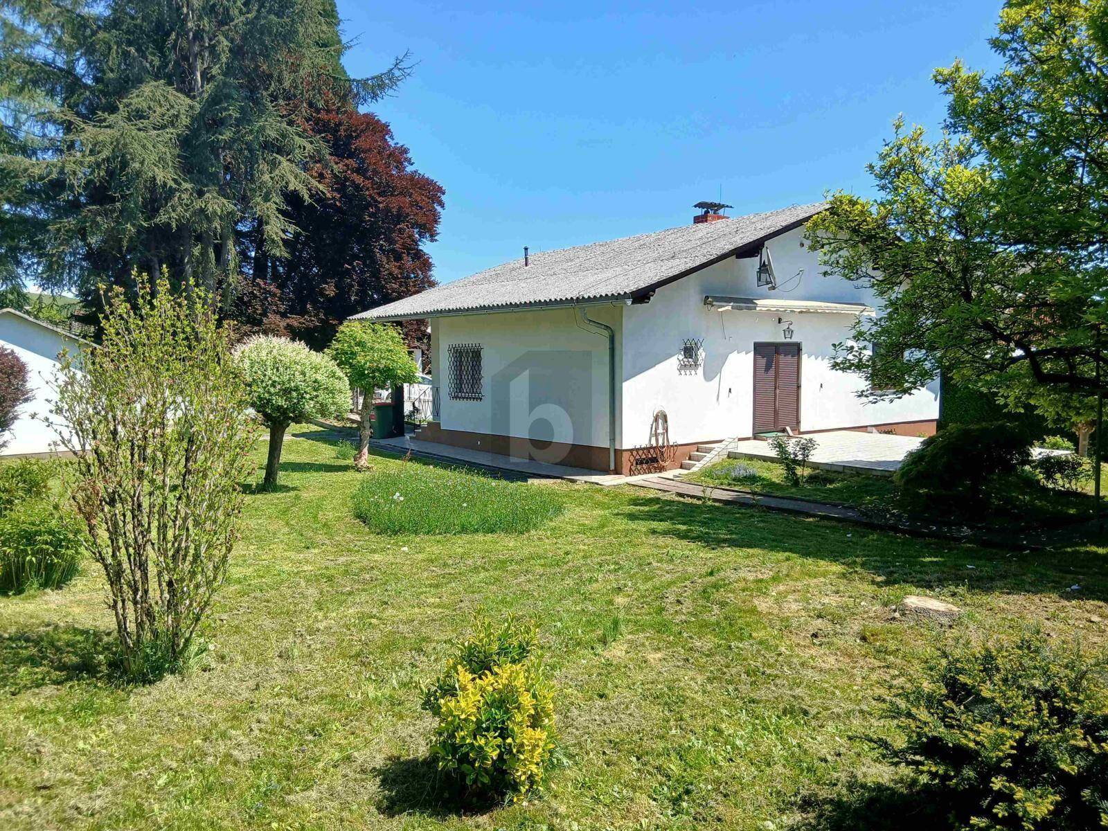 Weitläufiger Gartenbereich mit Rasenfläche, verschiedenen Bäumen und Sträuchern neben dem Haus.