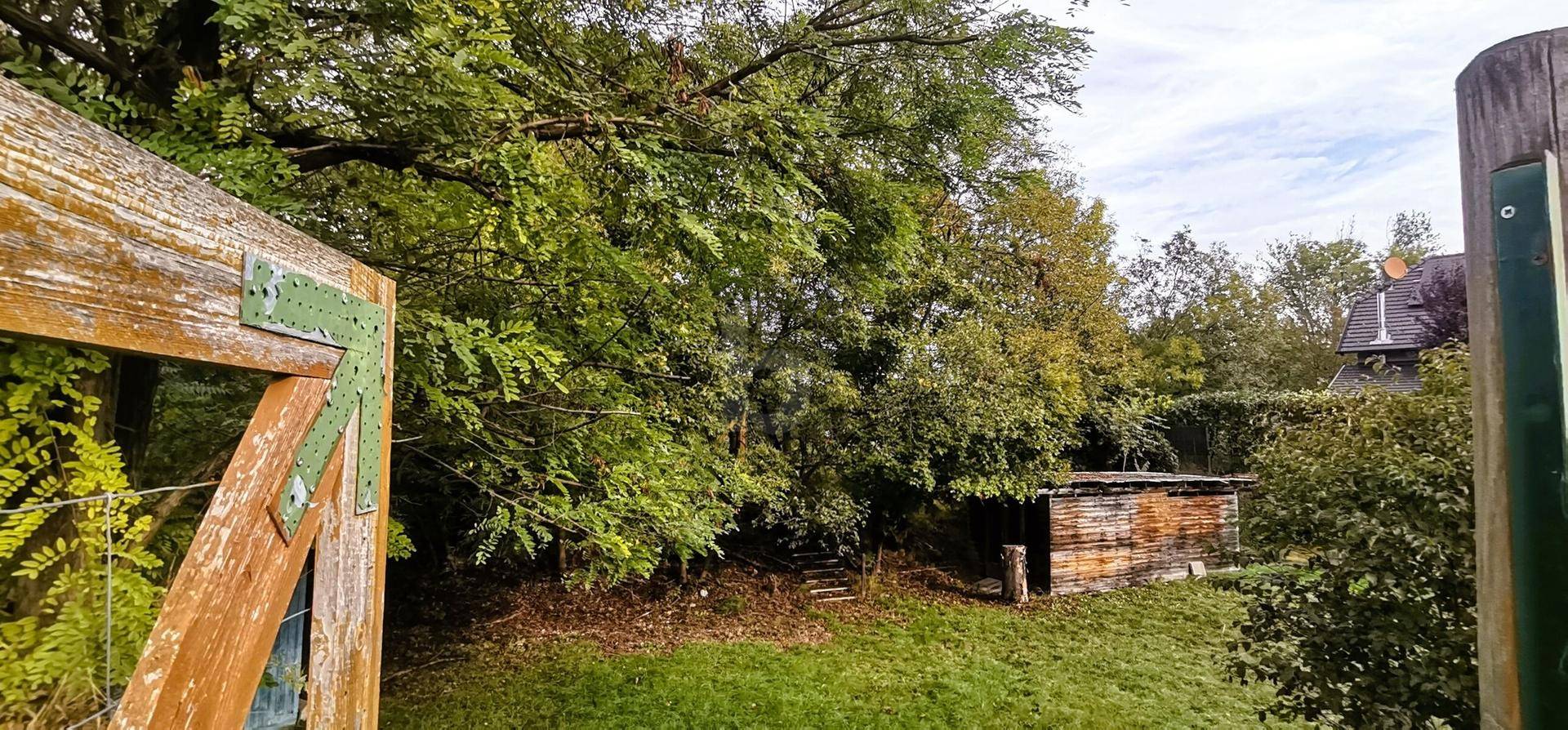 Grüner Gartenbereich mit einem Holztor und einem kleinen Holzschuppen unter Bäumen.