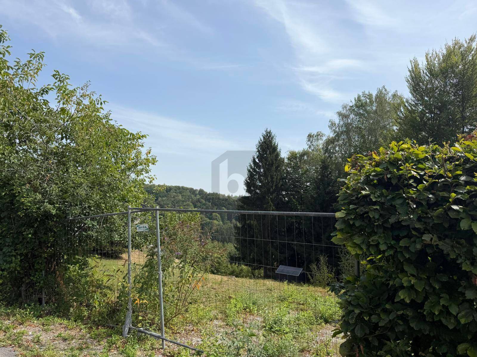 Grünfläche mit Baumbestand und einem temporären Bauzaun, der die natürliche Umgebung abgrenzt.