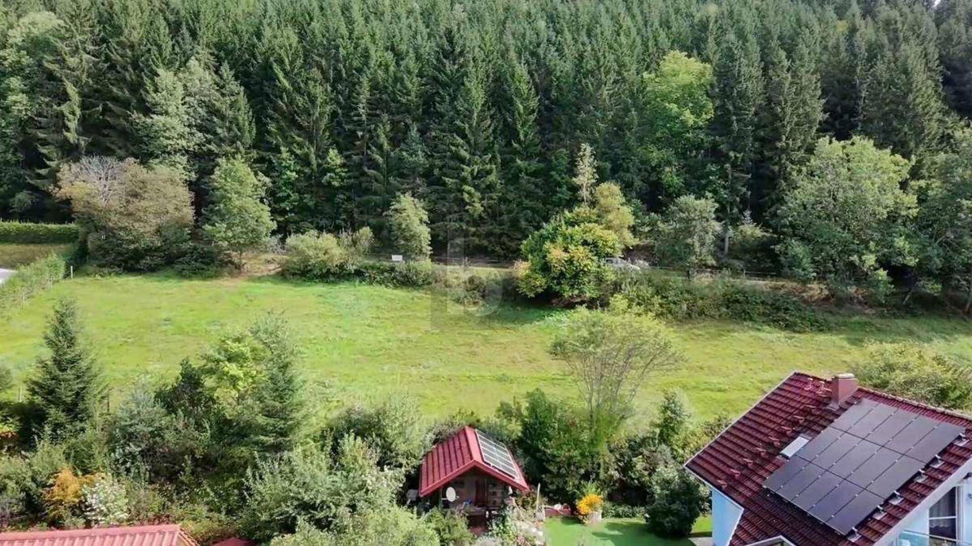 Luftaufnahme einer dichten Waldlandschaft mit einer Lichtung und einem Hausdach mit Solaranlagen im Vordergrund.