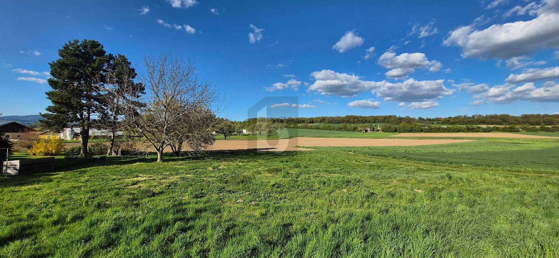 SELTENE CHANCE: 886 M² BAUGRUND MIT SÜDAUSRICHTUNG ? AUFSCHLIEßUNG BEREITS BEZAHLT! - Ansicht 5