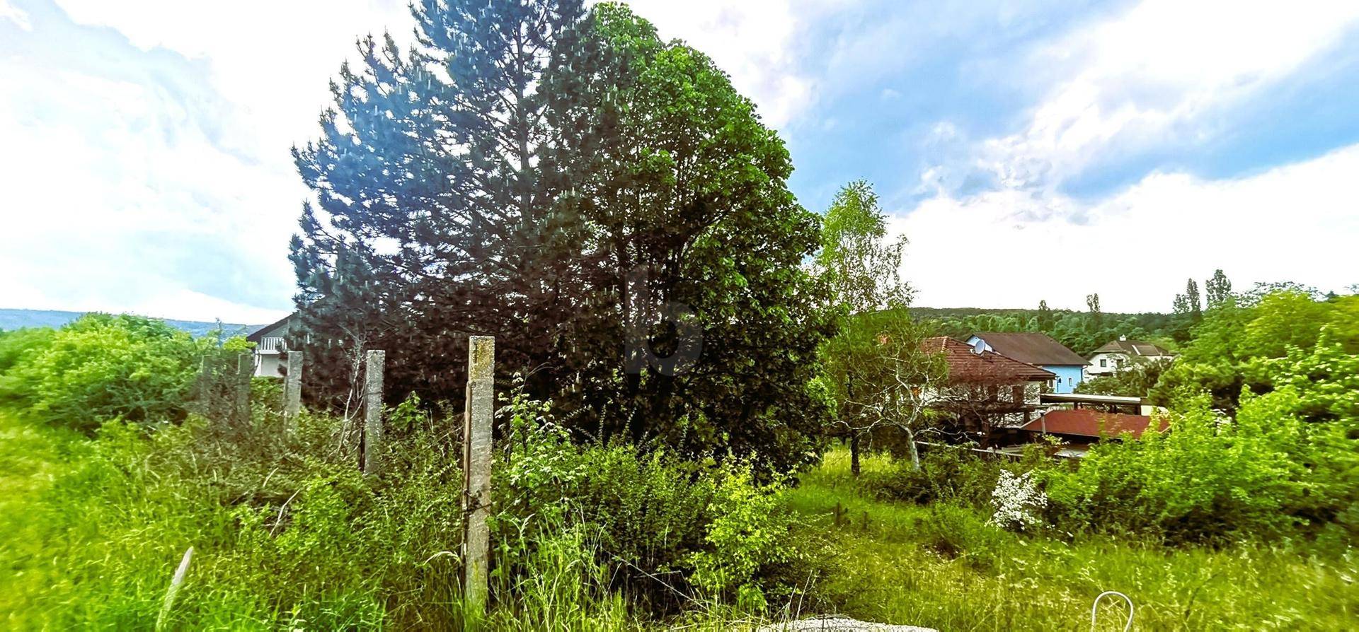 WEITBLICK INS GRÜNE - VON VILLA BIS ZWEI DOPPELHÄUSER MÖGLICH - Ansicht 3