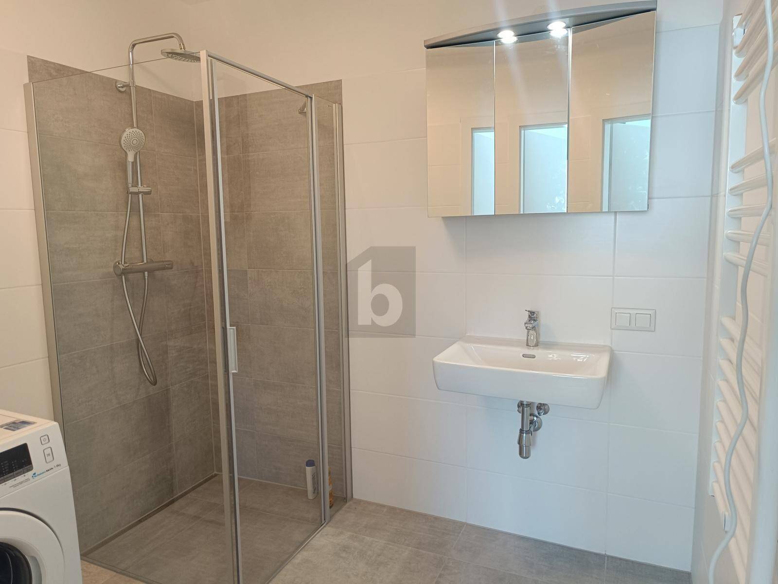 Modernes Badezimmer mit begehbarer Dusche, Einzelwaschbecken und beheiztem Handtuchhalter.