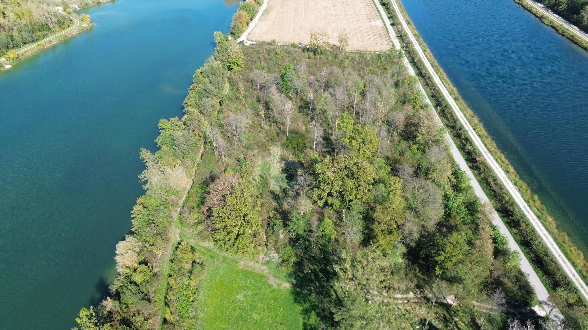 Luftaufnahme eines Waldstücks neben einem Wasserlauf und einem Feld, mit einem Weg im Vordergrund.