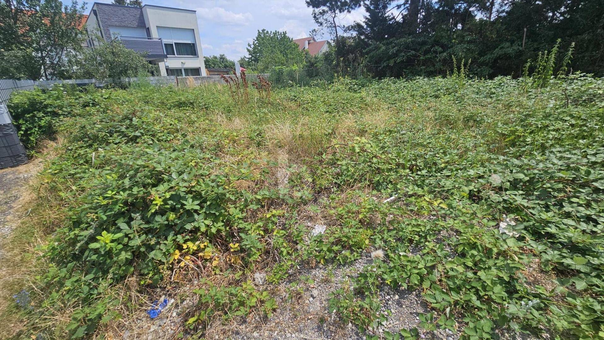Weitläufiges, ungenutztes Grundstück mit dichter Vegetation und Häusern in der Ferne.