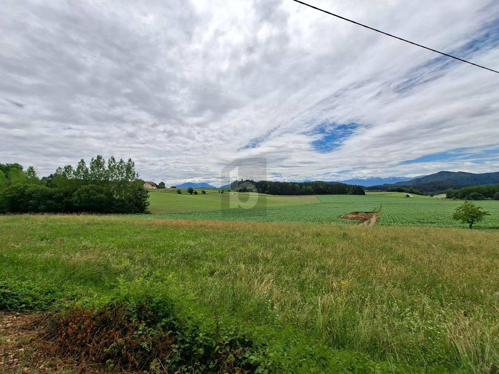 Panoramablick über weite Felder und Wiesen mit einer Bergkette am Horizont.