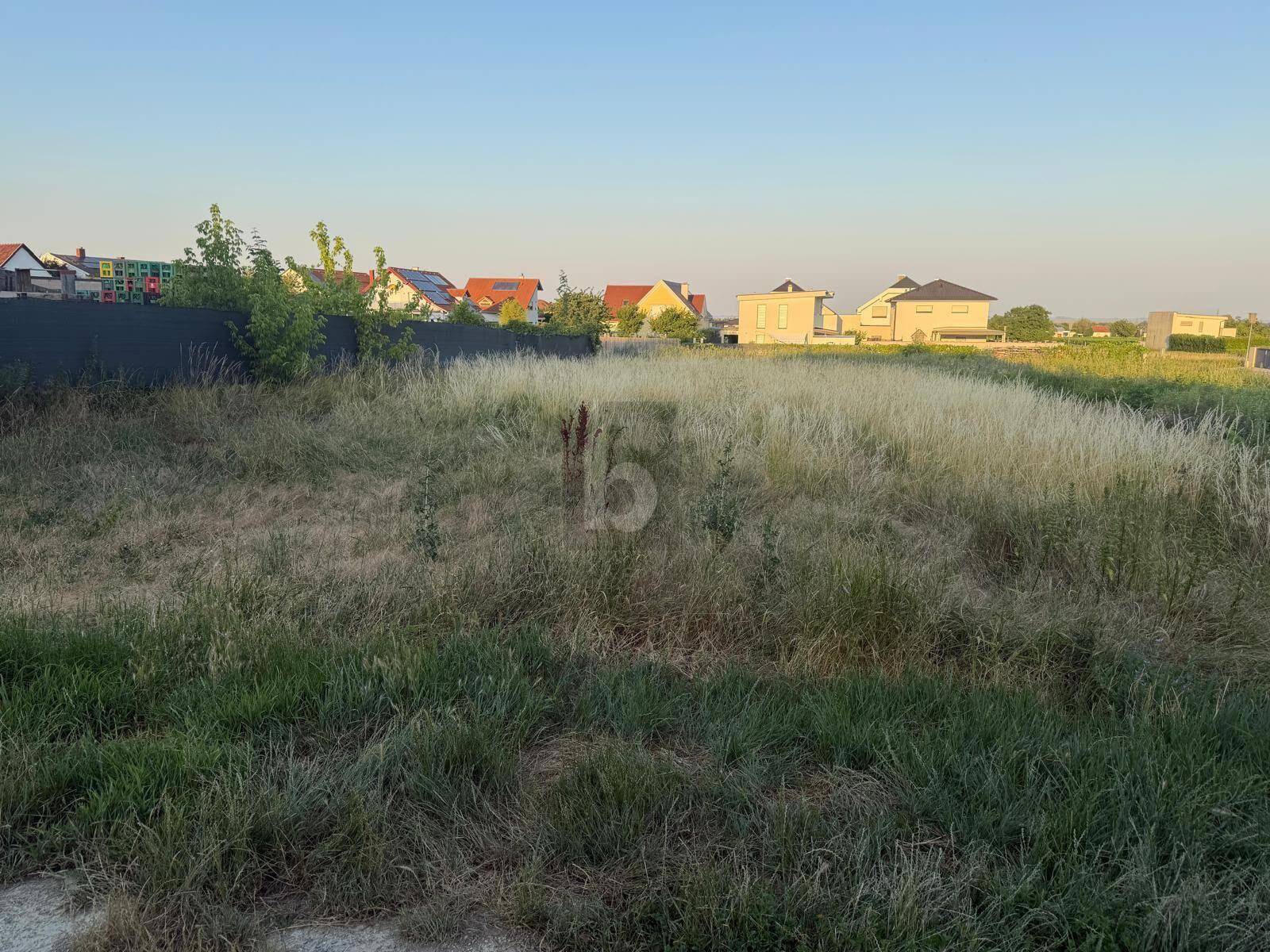 Weitläufiges Grundstück mit hohem Gras und Blick auf die Nachbarschaft bei Sonnenuntergang.