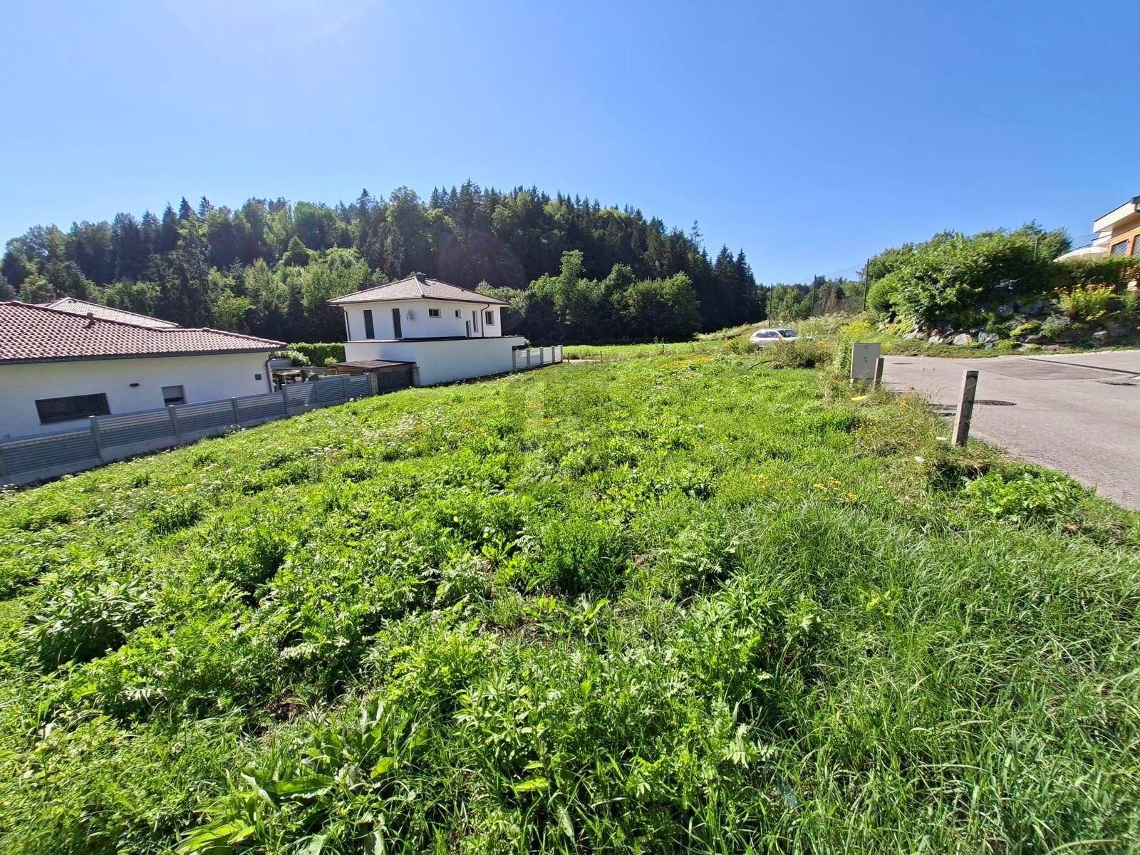 Sonniges Grundstück am Straßenrand mit Blick auf ein Wohnhaus und angrenzenden Wald.