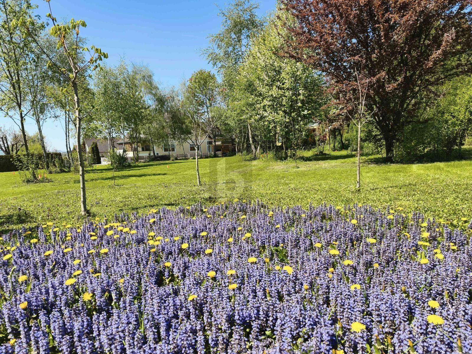 Blühender Gartenbereich mit lila und gelben Blumen im Vordergrund und Bäumen im Hintergrund.