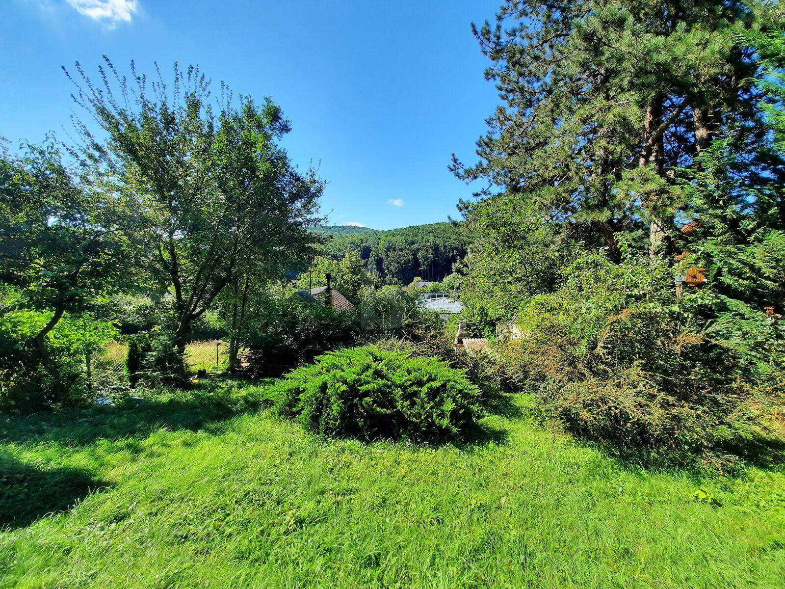 Großer, gepflegter Garten mit Rasenflächen und altem Baumbestand in grüner Umgebung.