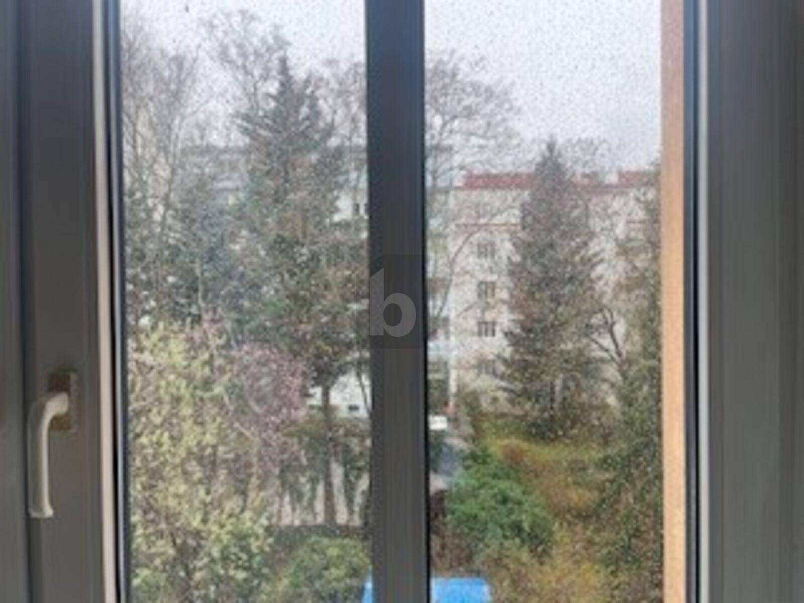 Blick aus dem Fenster auf grüne Bäume und ein Gebäude im Hintergrund an einem regnerischen Tag.