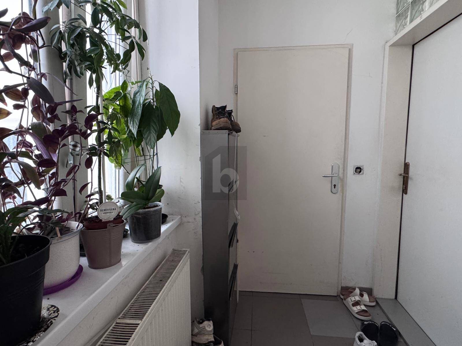 Ein Flur mit vielen Pflanzen auf der Fensterbank, der durch natürliches Licht erhellt wird und einen einladenden Eingangsbereich schafft.