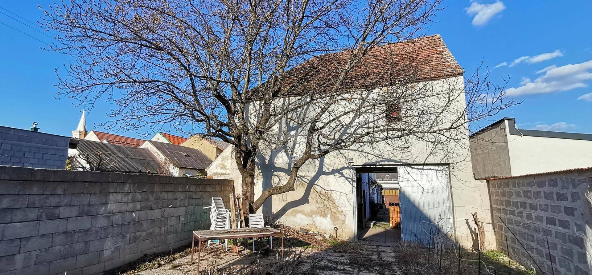 Ungepflegter Hinterhof mit altem Baum und kleiner Hütte, ideal für Gartenliebhaber.