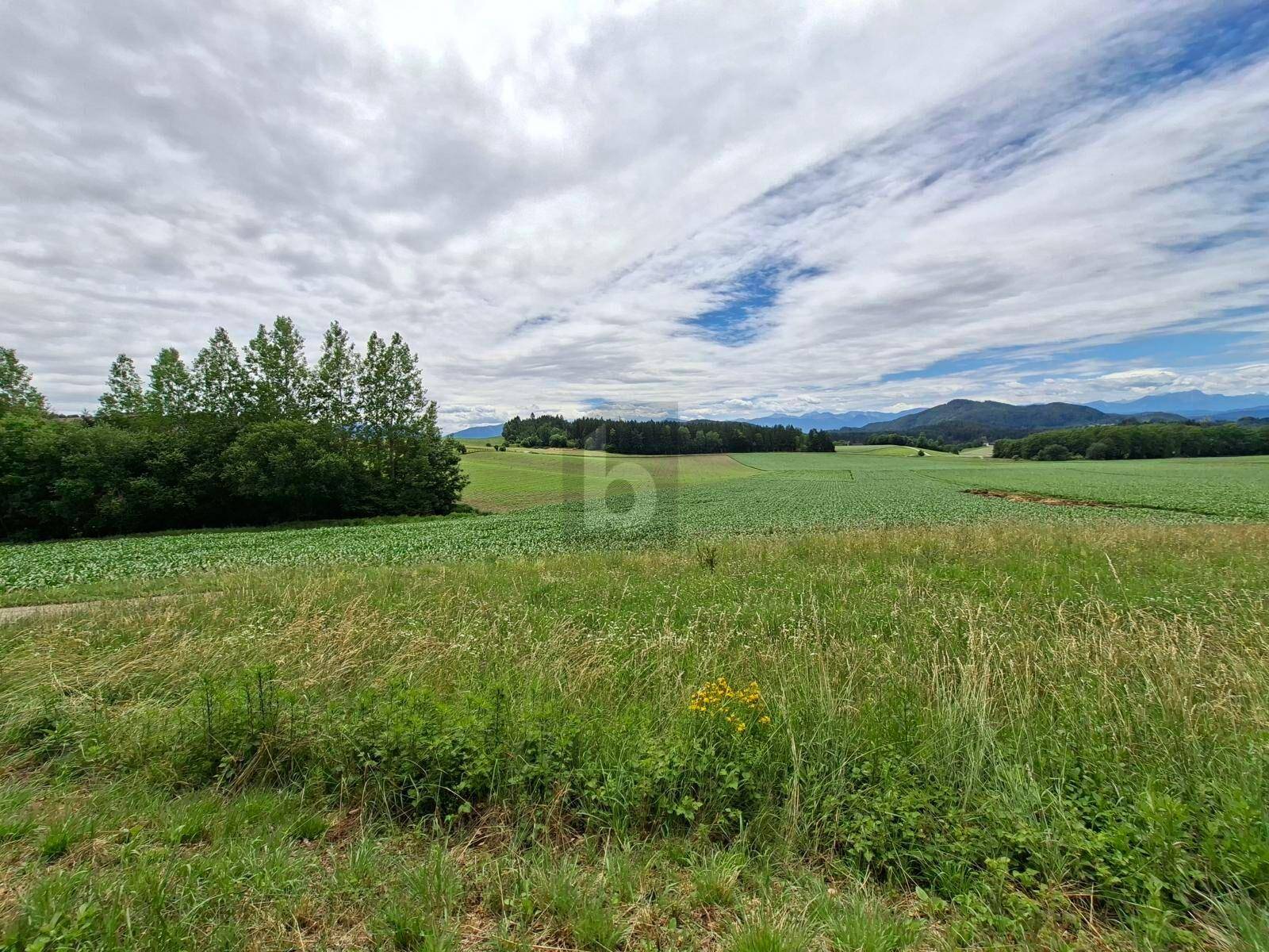 Ausgedehnte grüne Felder unter einem bewölkten Himmel mit Bäumen und Bergen in der Ferne.