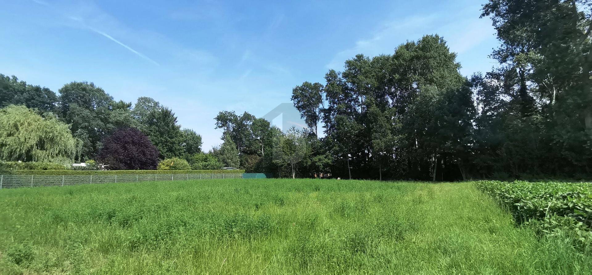 Weitläufiges grünes Feld unter blauem Himmel mit Bäumen im Hintergrund und einem Zaun auf der linken Seite.