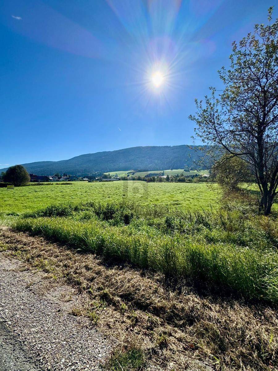 Sonnige grüne Landschaft mit weiten Feldern, einem Baum und Bergen am Horizont.