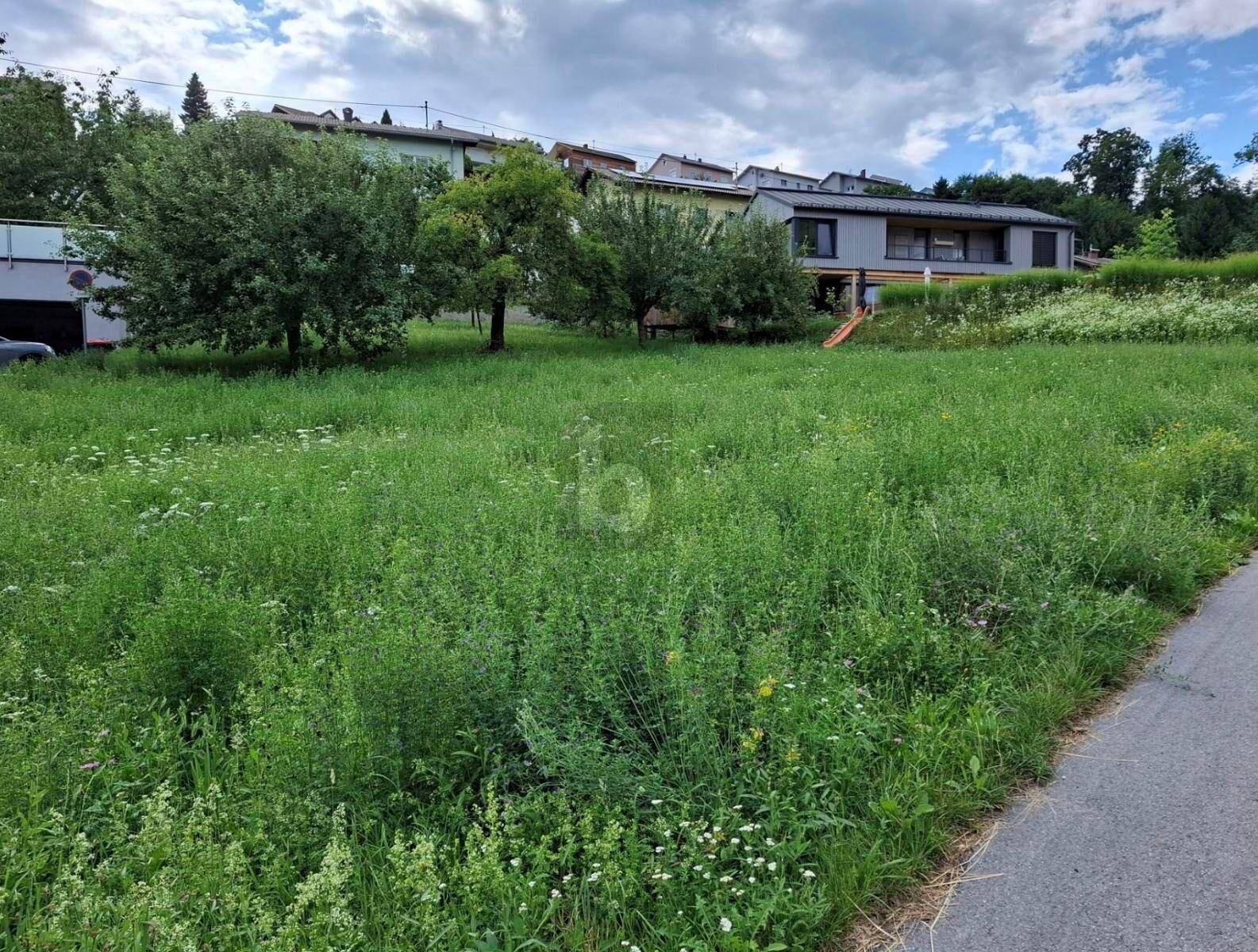 Preisreduktion! BAUGRUNDSTÜCK IN STEYREGG ? OHNE BAUZWANG - Ansicht 2