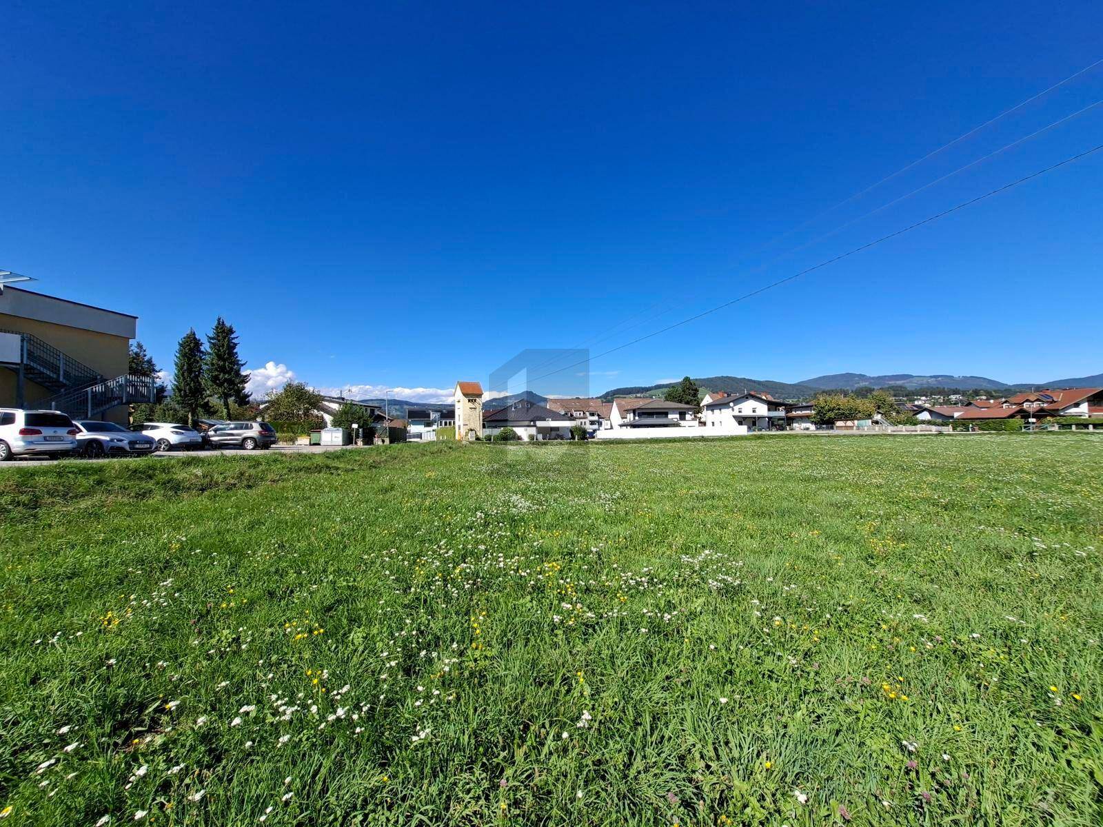 Grüne Wiesenfläche mit Wohngebäuden und Bergpanorama am Horizont unter blauem Himmel.