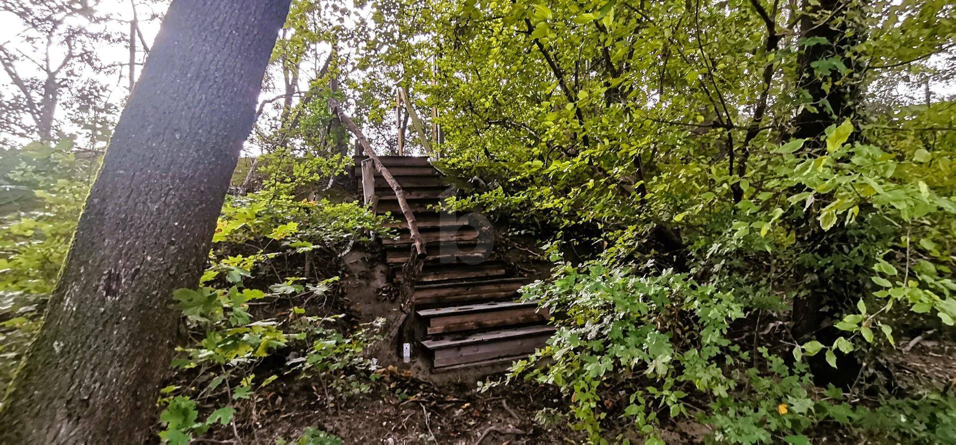 Hölzerne Treppe führt einen bewaldeten Hang hinauf, umgeben von dichtem Grün.