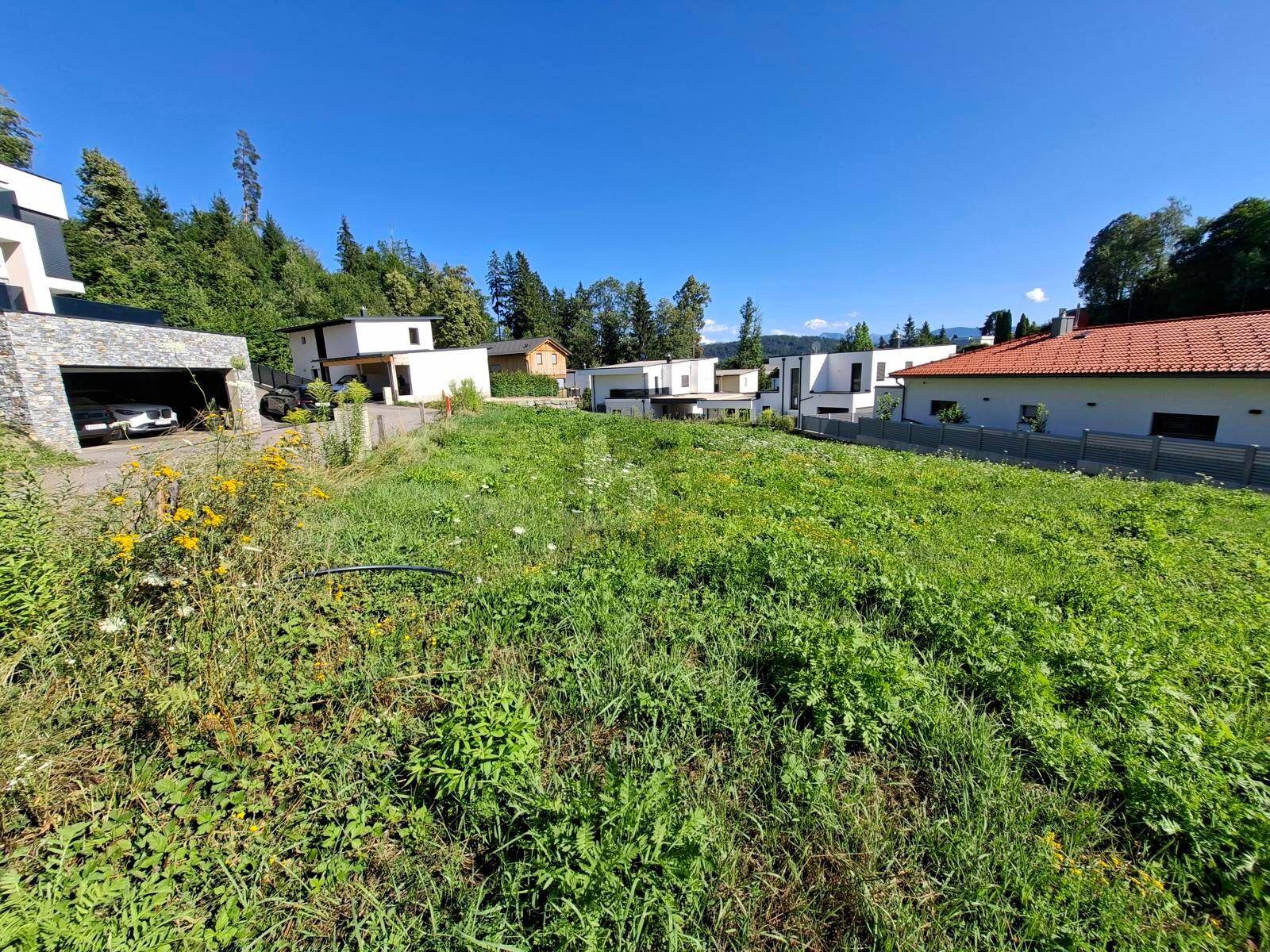 Weitläufiges Grundstück mit Wiesenfläche und Blick auf moderne Architektur und die umliegende Natur.