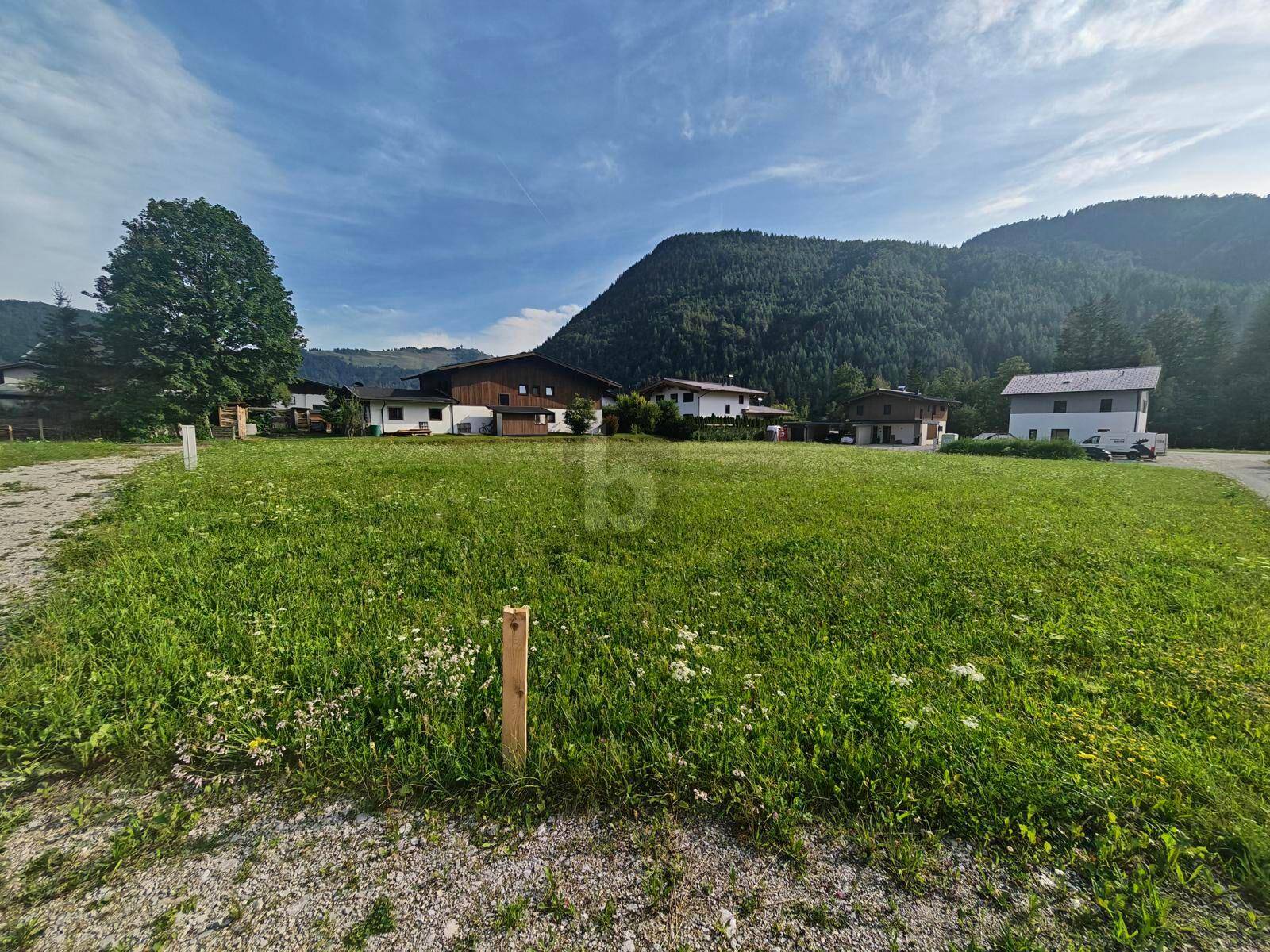 Grüne Wiese mit vereinzelten Häusern und bewaldeten Bergen im Hintergrund.