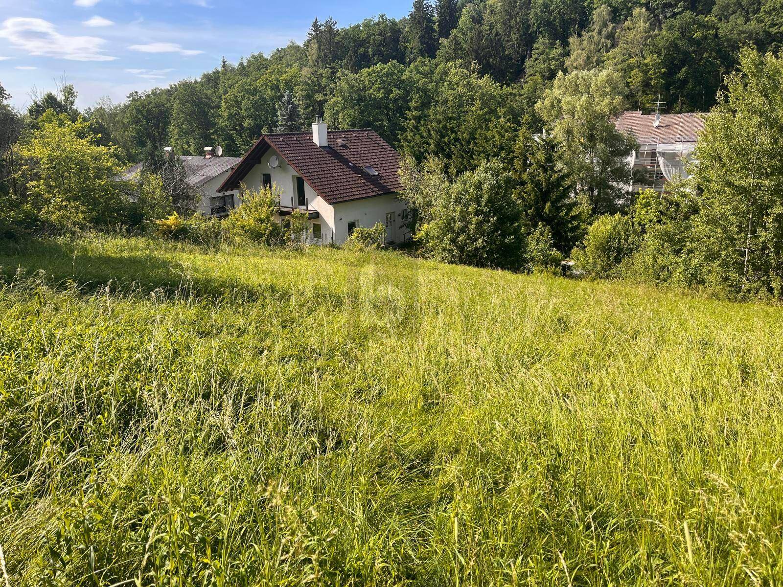 RUHIGES HANGGRUNDSTÜCK IN IDYLLISCHER WALDRANDLAGE - Ansicht 2