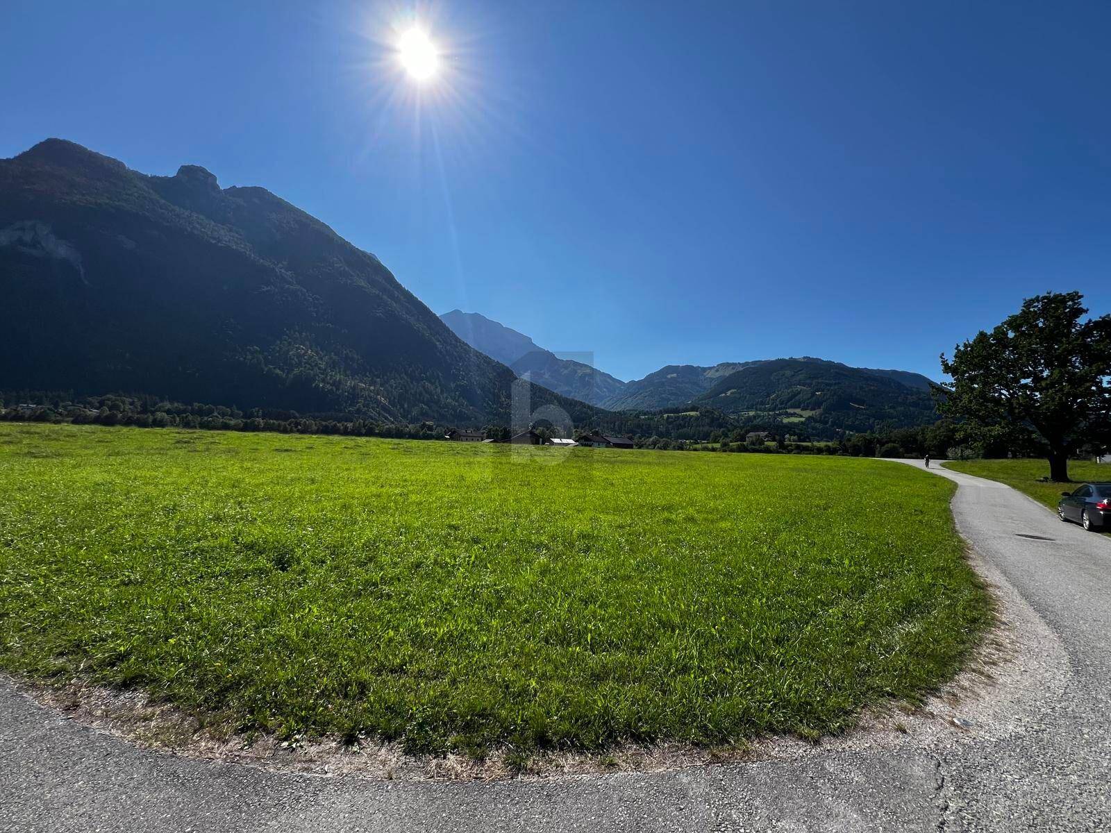 Sonnige Landschaft mit grünen Feldern, majestätischen Bergen und einem Baum am Straßenrand.