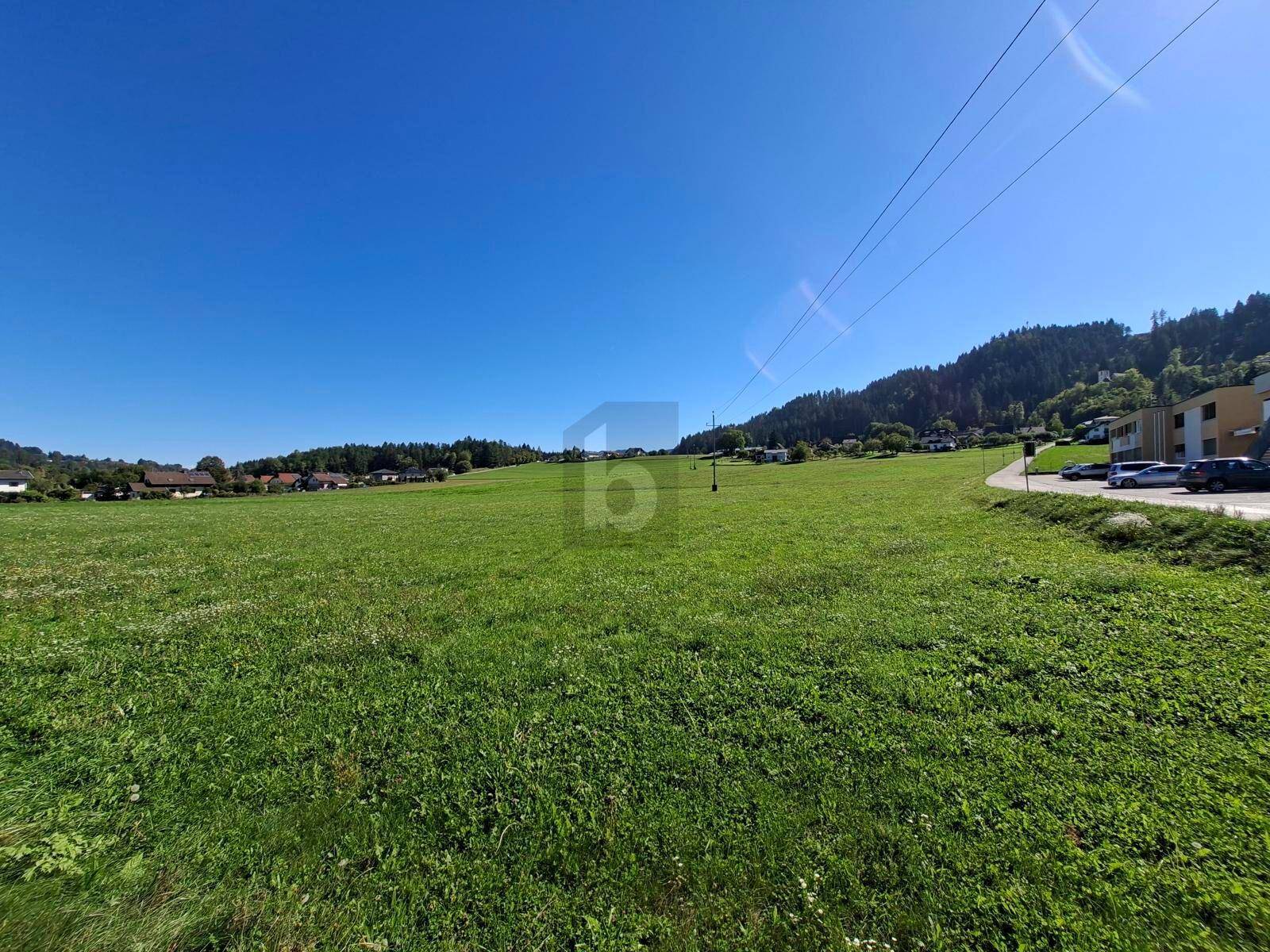 Ausgedehnte grüne Wiese mit Siedlung und bewaldeten Hügeln in der Ferne unter strahlend blauem Himmel.
