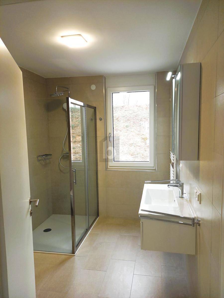 Modernes Badezimmer mit begehbarer Dusche, Waschbecken und Fenster.
