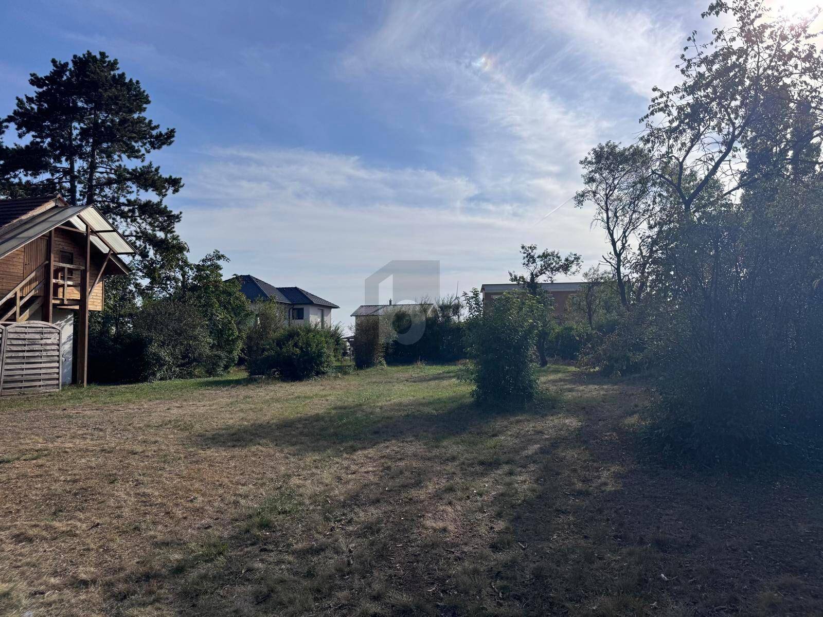 Blick über ein trockenes Grasgrundstück mit einem kleinen Holzhaus und Bäumen im Hintergrund.