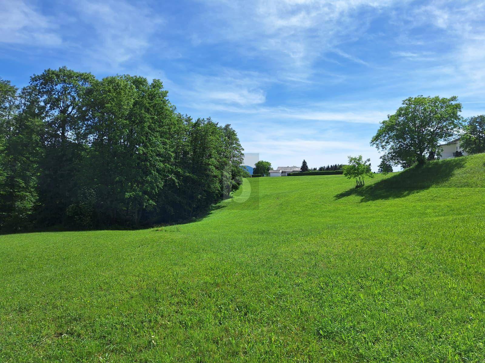 SELTENE GELEGENHEIT: BAUGRUND OHNE BAUZWANG ? UNVERBAUBARE AUSSICHT, SONNIGER SÜDHANG &amp; TOP-WERTANLAGE - Ansicht 5