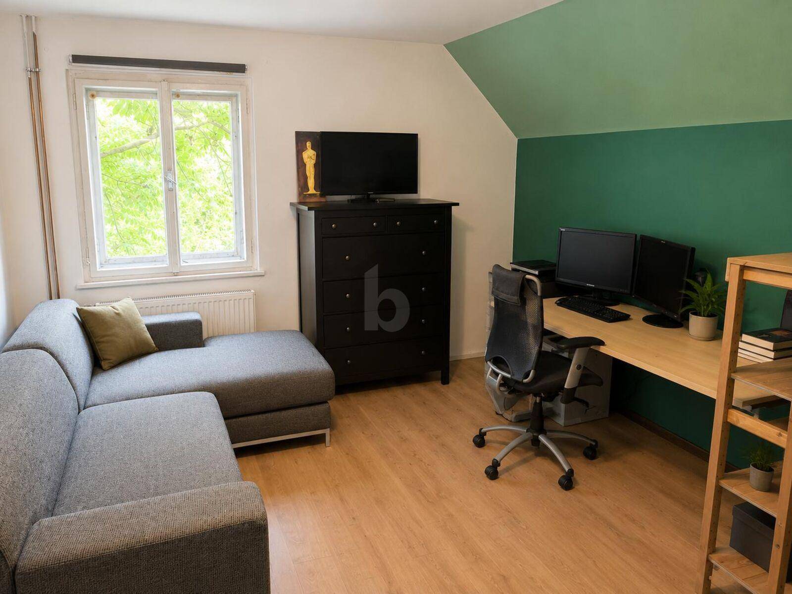 Arbeitszimmer mit Schreibtisch, zwei Monitoren, Sofa und grün gestrichener Wand.