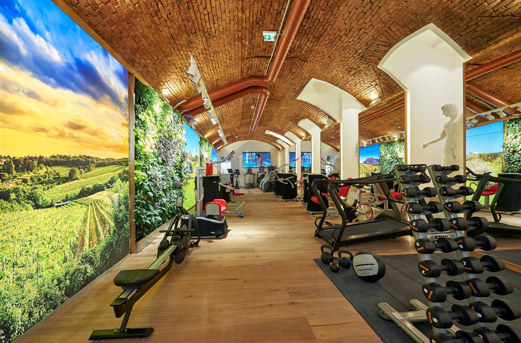 Fitnessraum mit vielfältigen Geräten, Holzboden und dekorativen Wandgemälden.