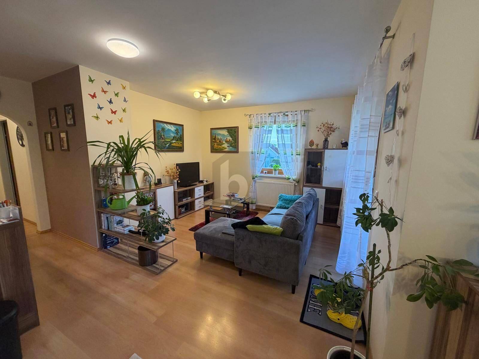 Gemütliches Wohnzimmer mit grauem Sofa, Fernseher und Pflanzen, hell durch Fenster.