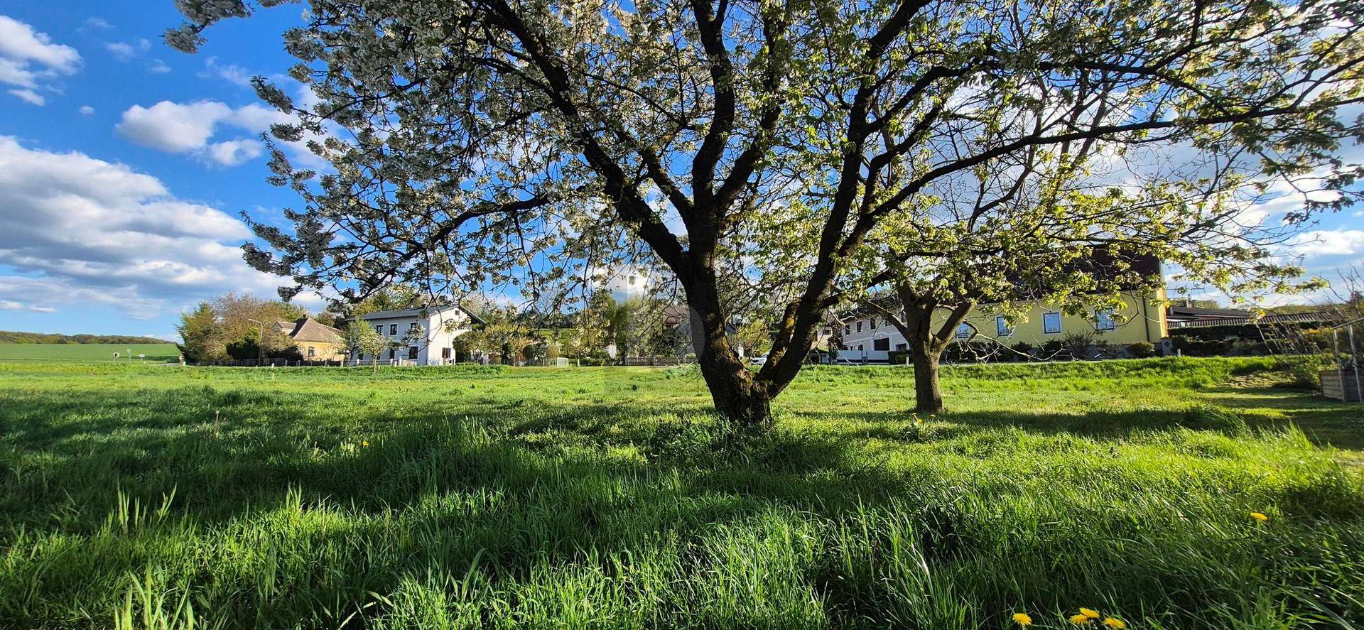 SELTENE CHANCE: 886 M² BAUGRUND MIT SÜDAUSRICHTUNG ? AUFSCHLIEßUNG BEREITS BEZAHLT! - Ansicht 2