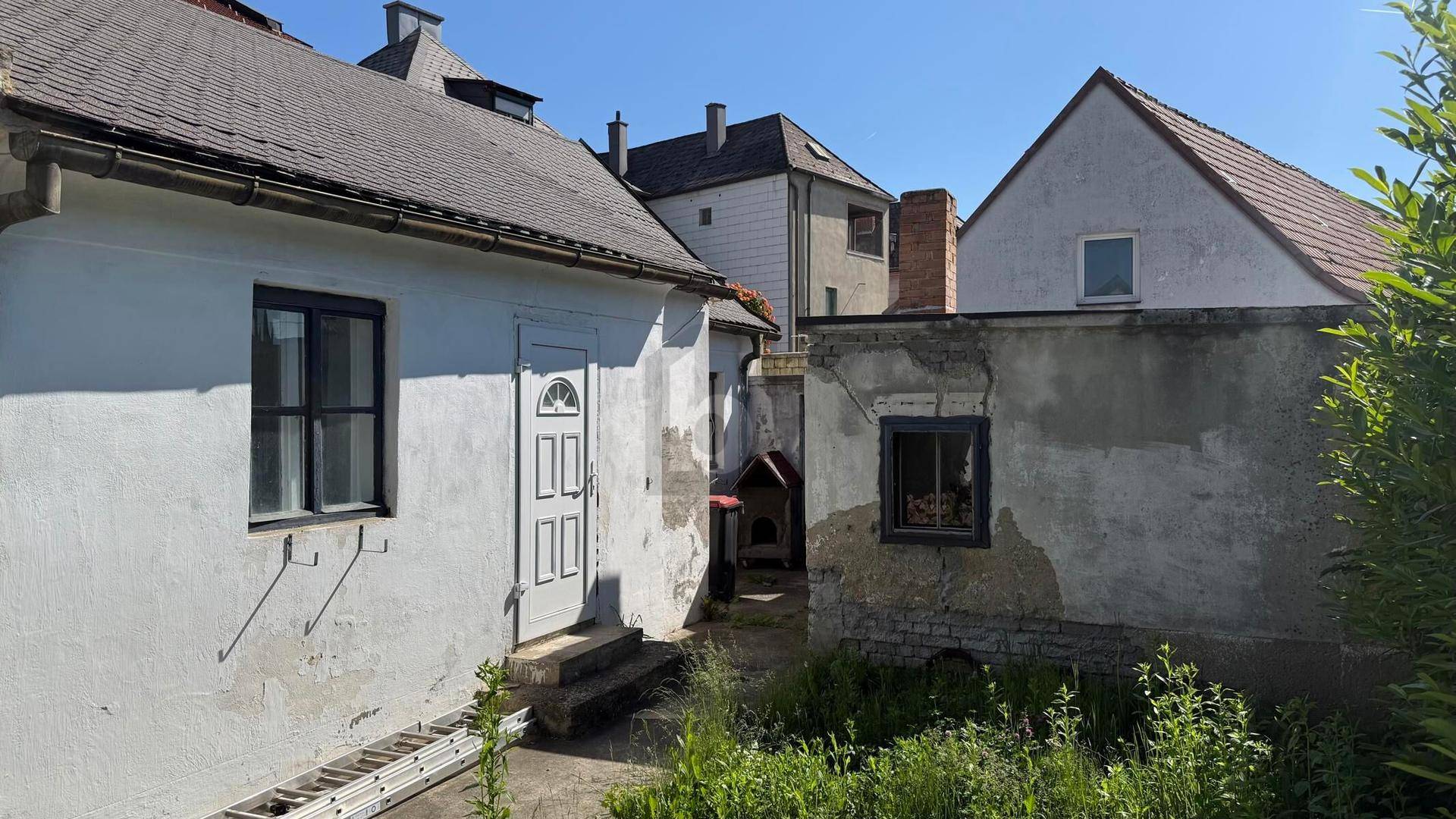 Hinterhofbereich mit älteren Gebäuden, einem Hundezwinger und verwildertem Garten.